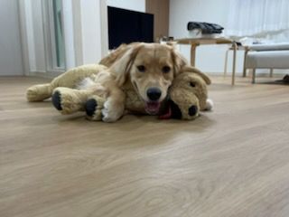 gallery_202209051058220.jpg